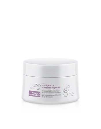 AMEND SCIENCE MÁSCARA RECONST C/COLÁGENO E CREATINA VEGETAIS 250G (6)